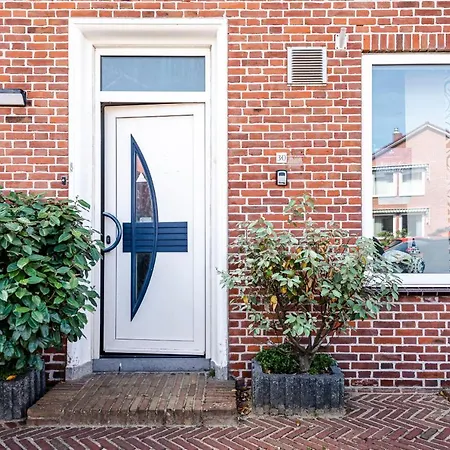 Albatros Aan Zee -