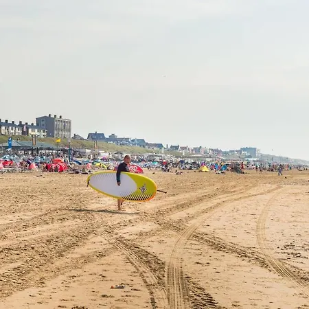 Albatros Aan Zee -