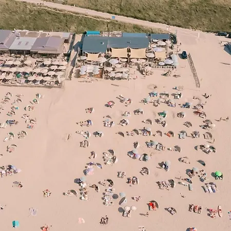 Albatros Aan Zee - Zandvoort