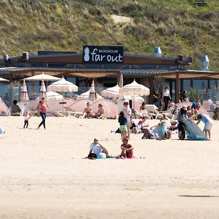 Albatros Aan Zee -
