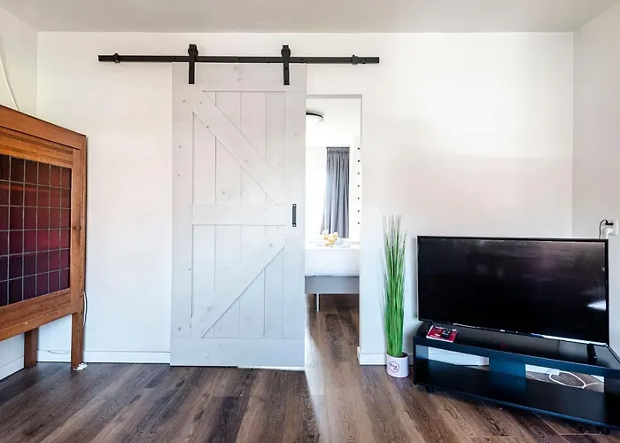 Albatros Aan Zee - *