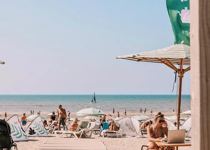 Albatros Aan Zee - Apartment *